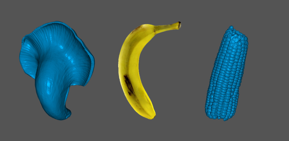 Moose in the Kitchen: Revolutionizing Culinary Creativity with 3D Scanning Unleashing Culinary Innovation