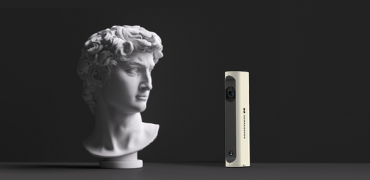 Customized Sculptures with Lynx 3D Scanners