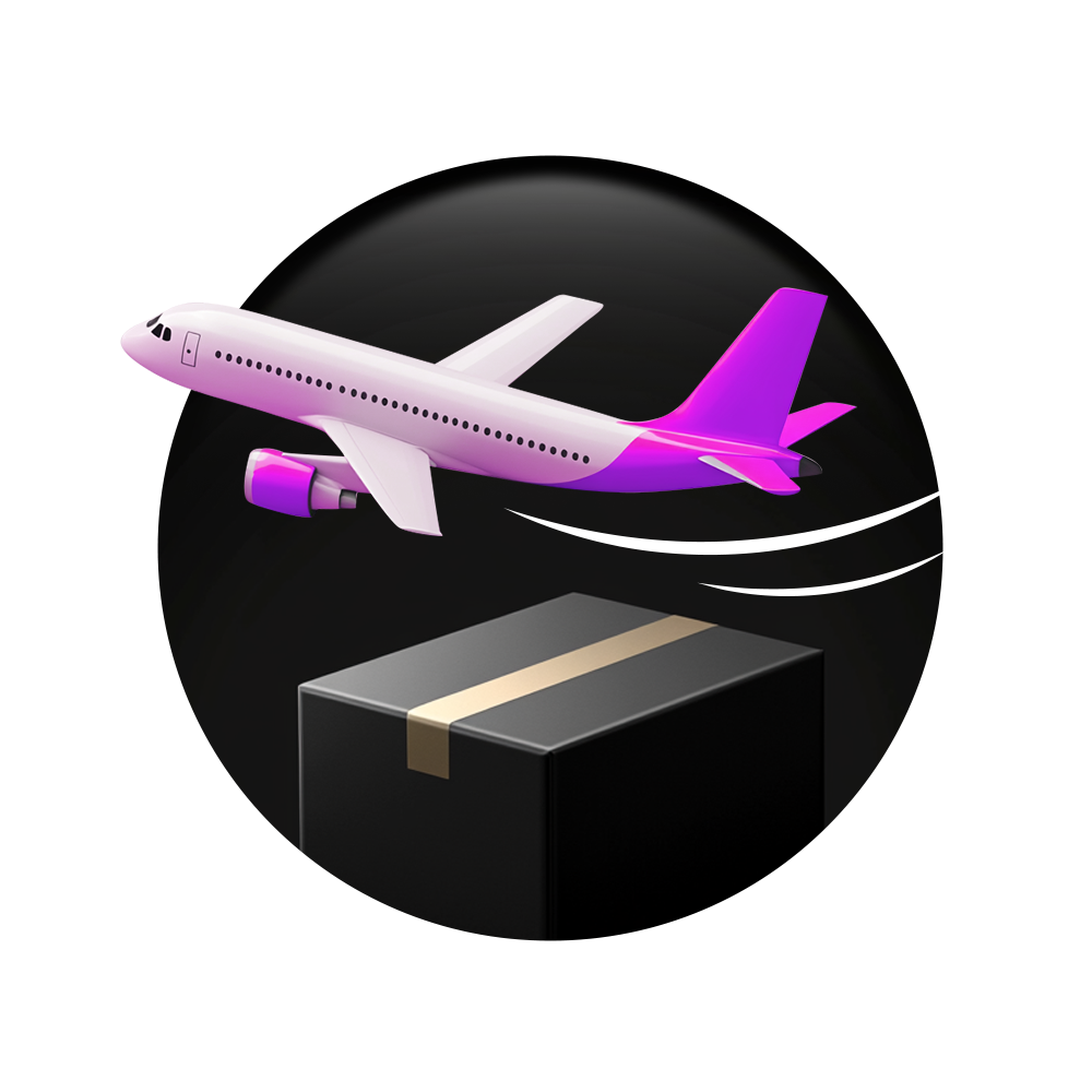 CS Air Shipping service icon for 3DMakerpro orders, ensuring priority express delivery.