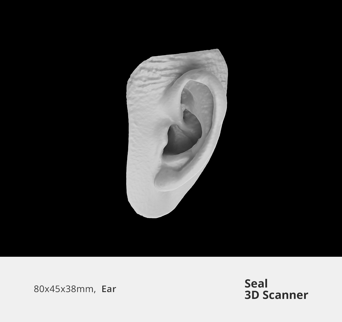 3dmakerpro ear 3d model 