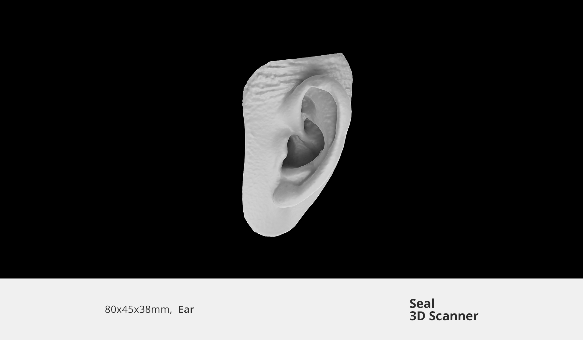 3dmakerpro ear 3d model 